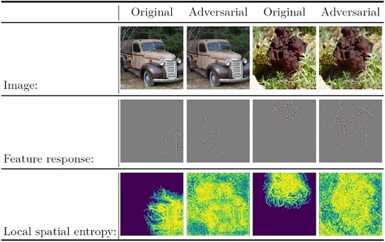 Detecting adversarial examples using local spatial entropy on feature response maps